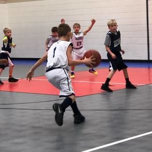 Meet your Posher, Molly